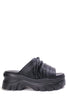 Fairchild Black 1