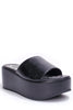 Lily Black 2